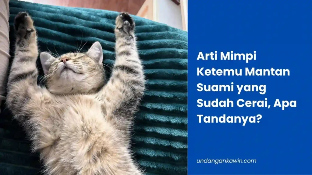 arti mimpi ketemu mantan suami yang sudah cerai