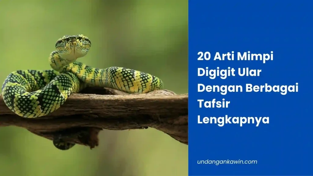 20 Arti Mimpi Digigit Ular Dengan Berbagai Tafsir Lengkapnya - undangankawin.com Mimpi Digigit Ular