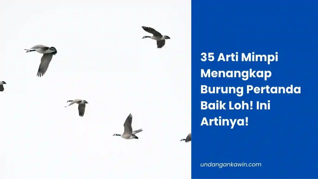 35 Arti Mimpi Menangkap Burung Pertanda Baik Loh! Ini Artinya! - undangankawin.com Mimpi Menangkap Burung